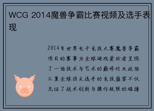 WCG 2014魔兽争霸比赛视频及选手表现